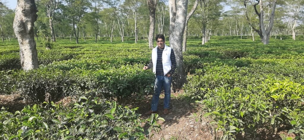 Buy Tea