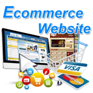 E-Commerce Website Design and Development service