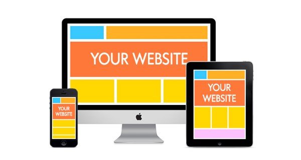 Website Developer
