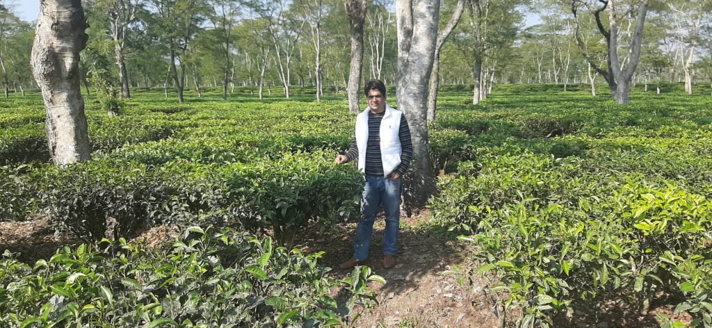 Tea Company