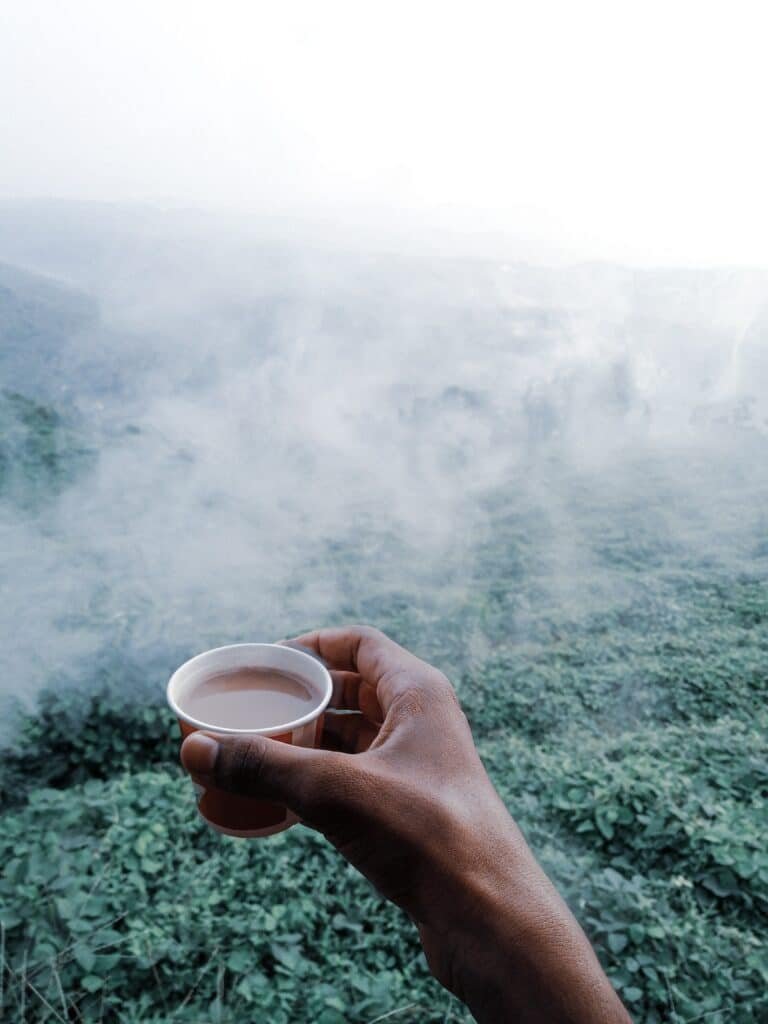 Sourcing of Tea